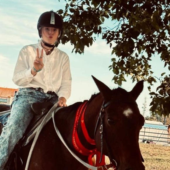 Meet your Posher, Addi - Picture 1 of 1